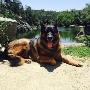 Meet your Posher, Katherine